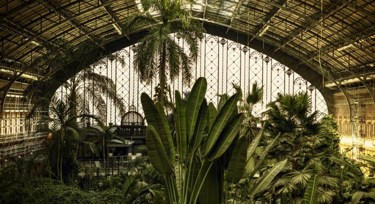 Üppige Palmen im tropischen Garten der Estación de Atocha in Madrid.