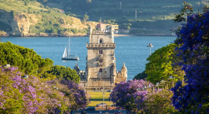 Jacarandagesäumte Allee mit Blick auf den Torre de Belém vor dem Tejo, ein Segelboot kreuzt im Hintergrund.